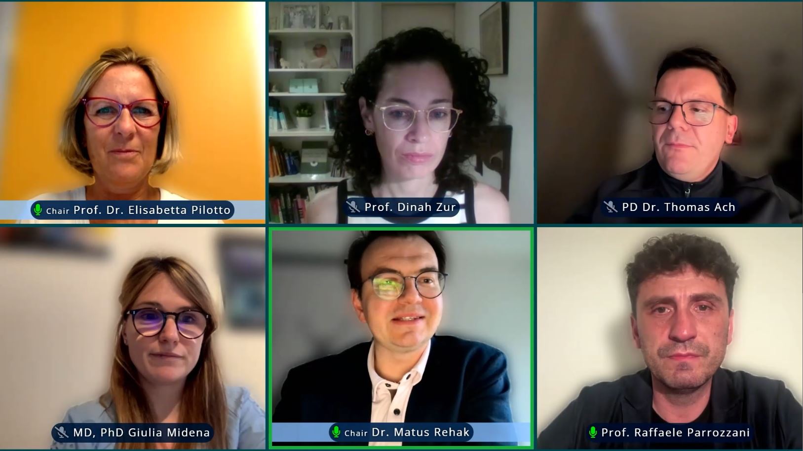 Speakers during an Euretina Educational Webinar.