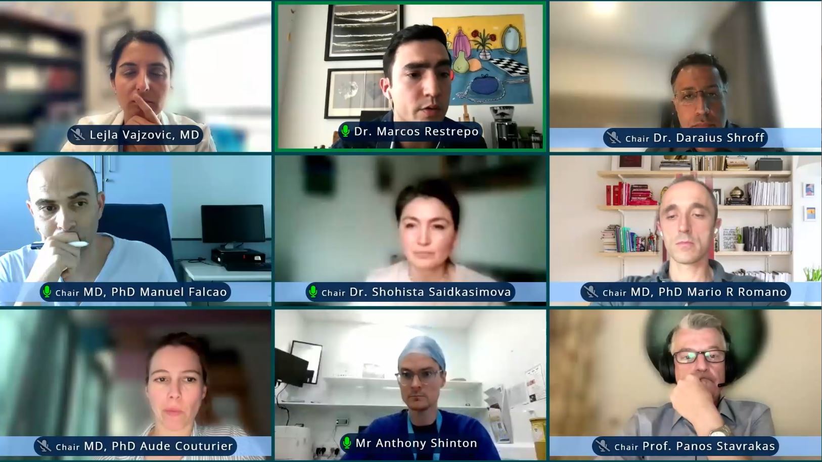 Speakers during Euretina EuroVeRsion Webinar.